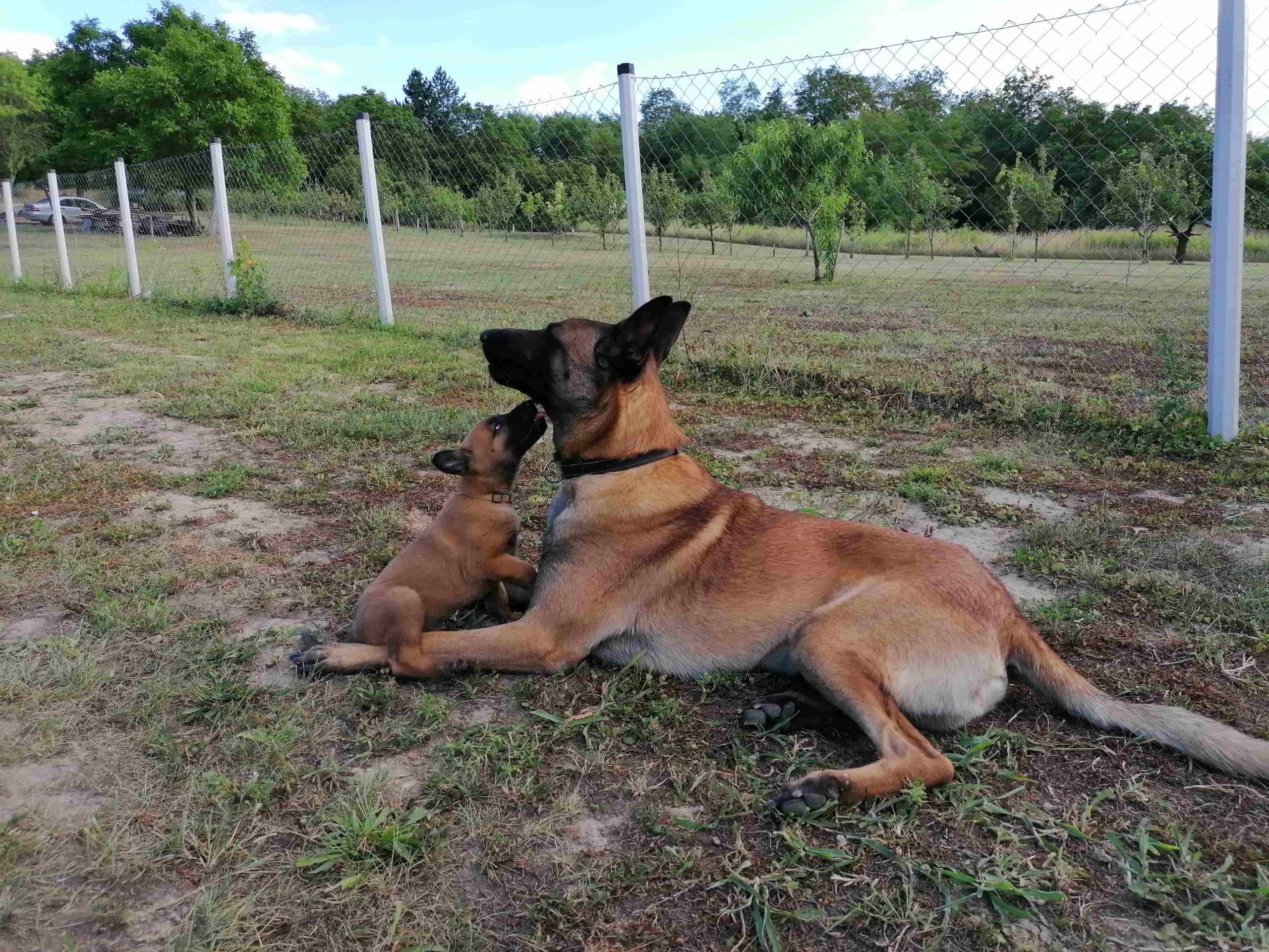Andrea i Božidar Božić