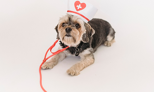 INTERNISTIČKI PREGLED