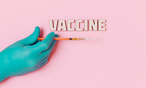 CIJEPLJENJE KUĆNIH LJUBIMACA